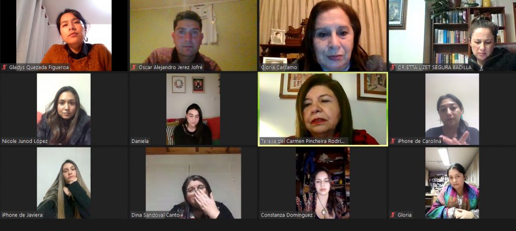 CAE de Nutrición y Dietética UBB analiza rol profesional en marco de la pandemia