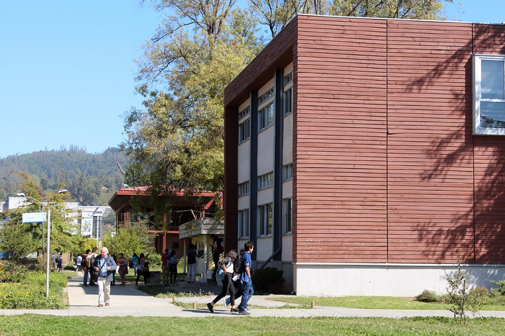 Candidatos a representante académico ante comisión para reforma estatutaria