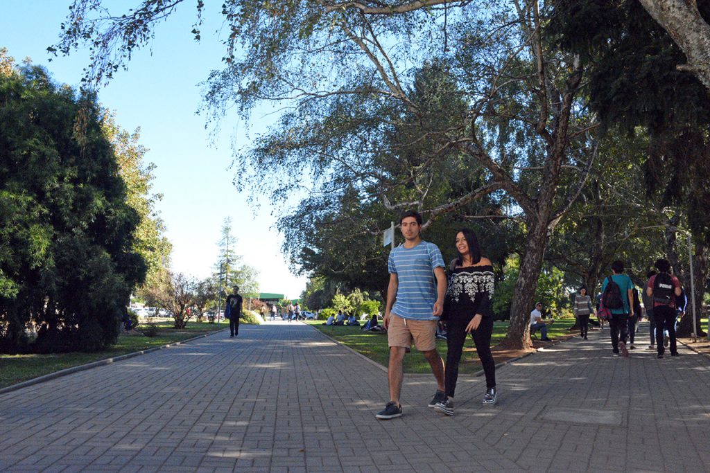 UBB entregará 800 becas de conectividad para el acceso a clases virtuales