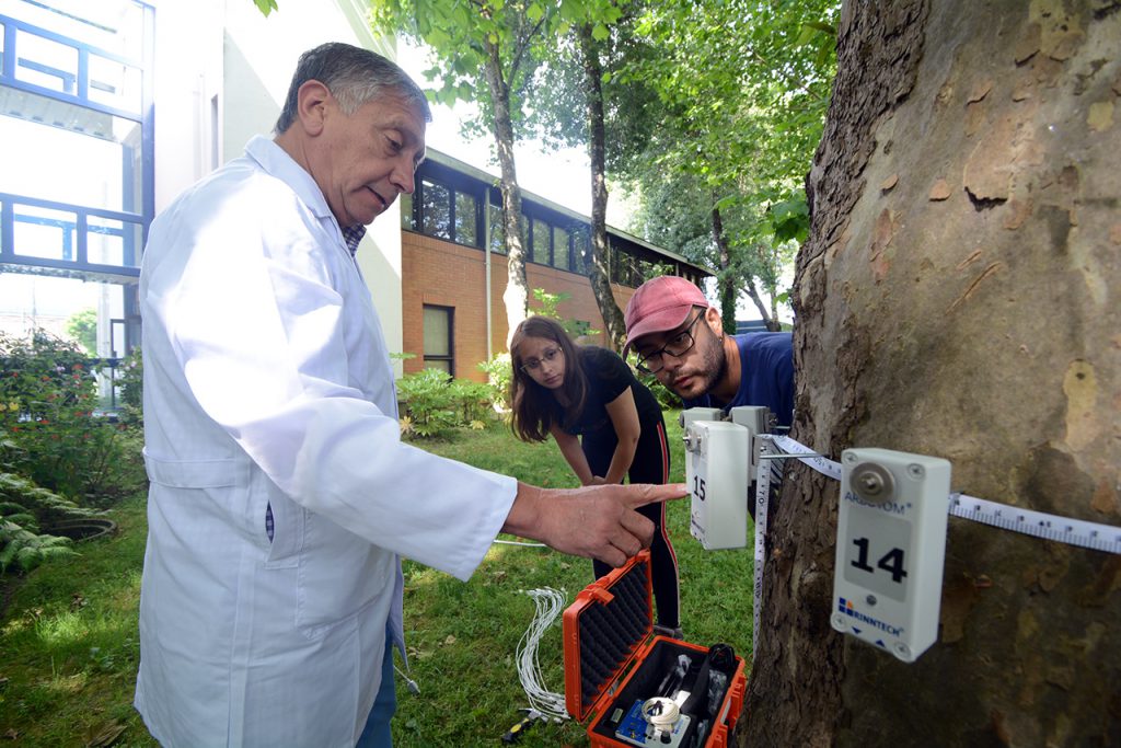 UBB evalúa el estado de sus árboles con moderno tomógrafo acústico