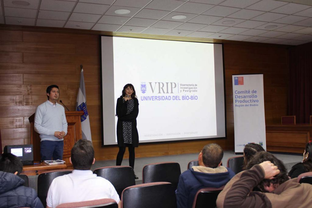 Unidad de Emprendimiento UBB promueve instrumentos Corfo para emprender