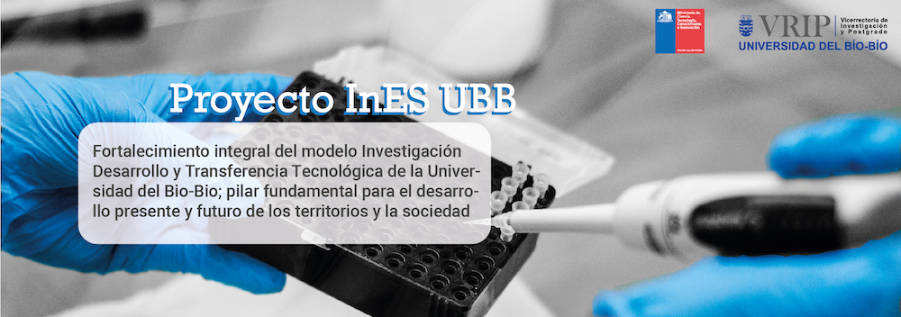 UBB adjudica proyecto InES del Ministerio de Ciencia y consolida su apuesta institucional en este ámbito