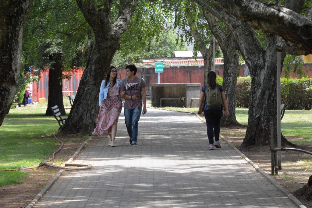 UBB decretó uso de nombre social en documentación y gestiones universitarias