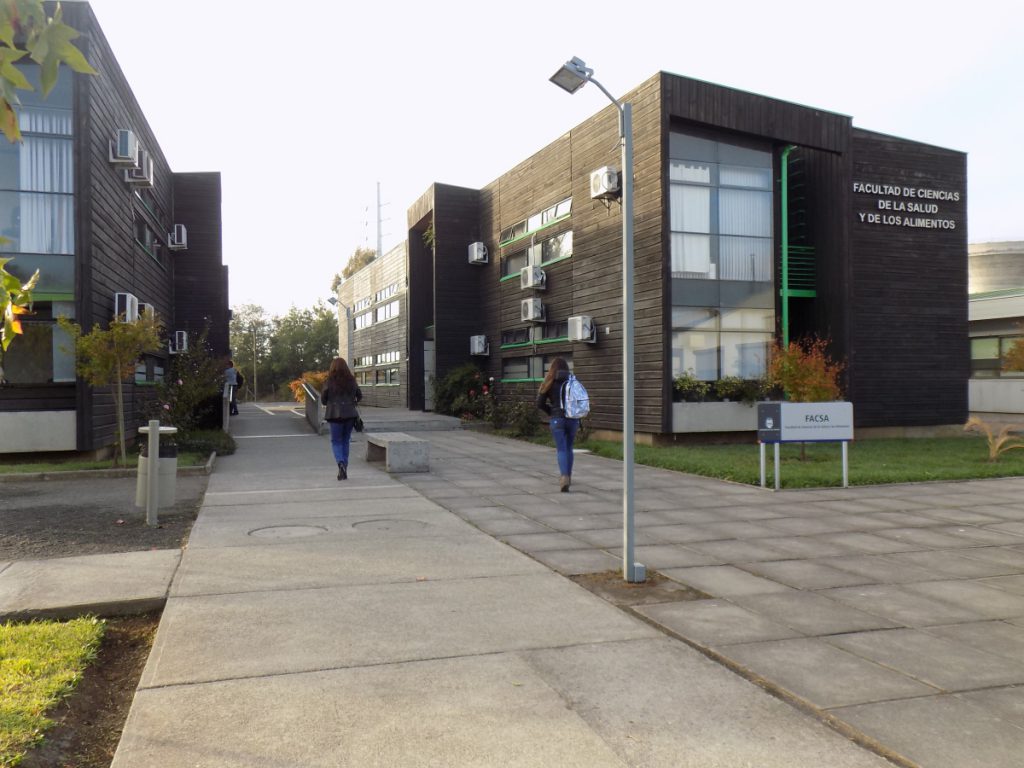 Directora de Escuela de Nutrición y Dietética se refiere a los hábitos alimentarios en cuarentena