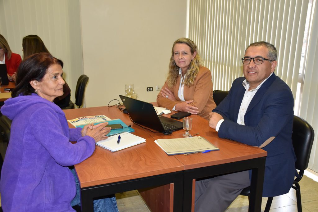 Departamentos de Pregrado de Chillán y Concepción implementan talleres con directores/as de escuela