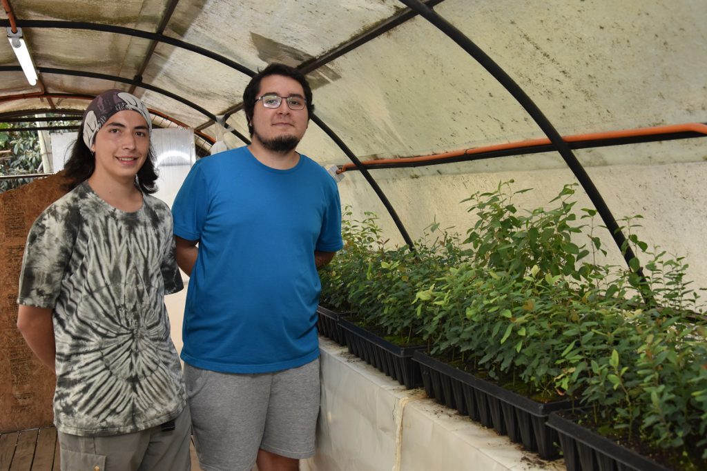 Estudiantes UBB entregarán más de mil árboles nativos a la comunidad de Ñuble