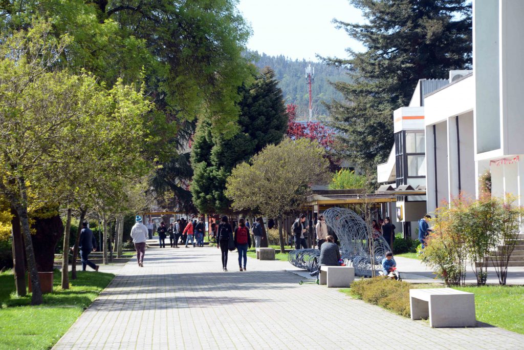 Asociaciones de académicos enfrentan los nuevos desafíos institucionales y gremiales