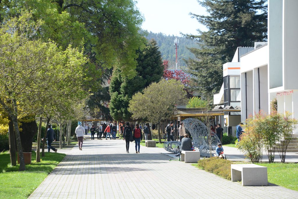 Programa Tutores acompaña a estudiantes UBB en modalidad a distancia
