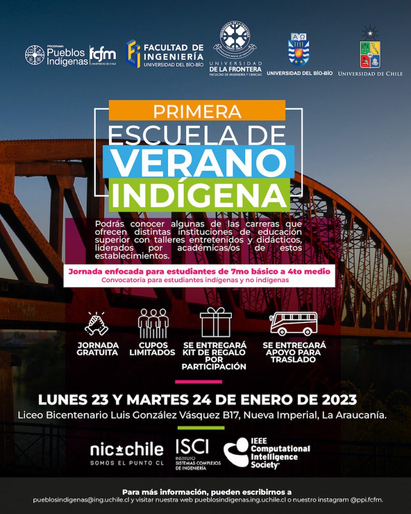 Universidades de Chile, del Bío-Bío y de La Frontera convocan a la Primera Escuela de Verano Indígena