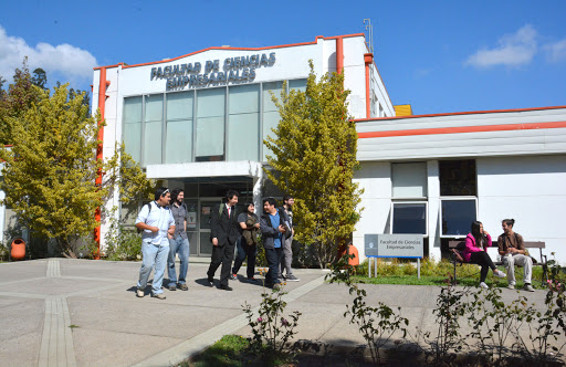 Acreditación de Magíster en Gestión de Empresas eleva a sobre 66% magísteres UBB actualmente acreditados