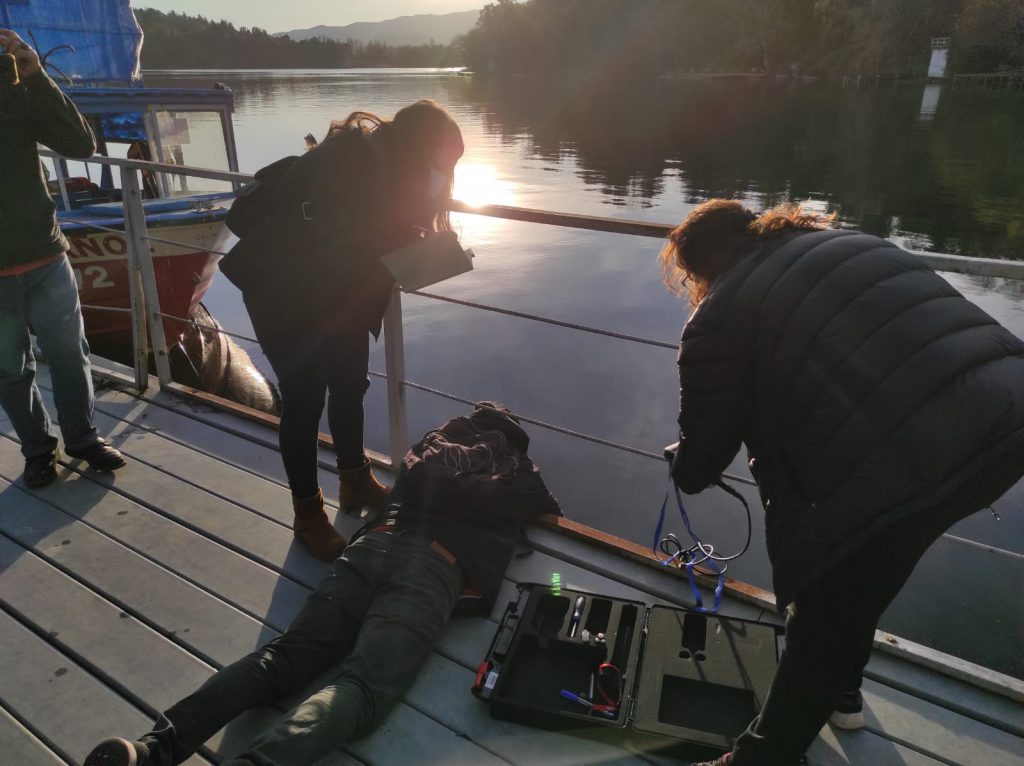 Estudiantes de Ingeniería en Recursos Naturales UBB contribuyen al cuidado de Laguna Avendaño