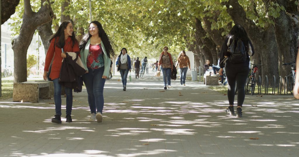 La pandemia como posibilidad de encontrar una solución a la desigualdad estructural en Chile