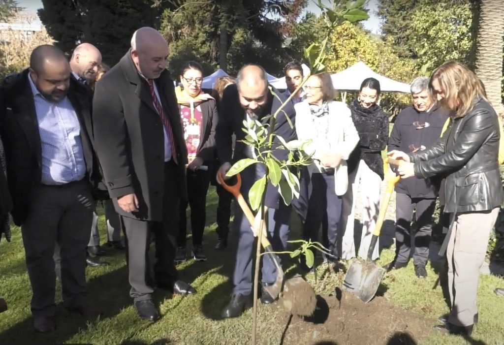 Circuito Botánico: Más de 200 árboles fueron elegidos y plantados en el campus por la comunidad de la Universidad del Bío-Bío