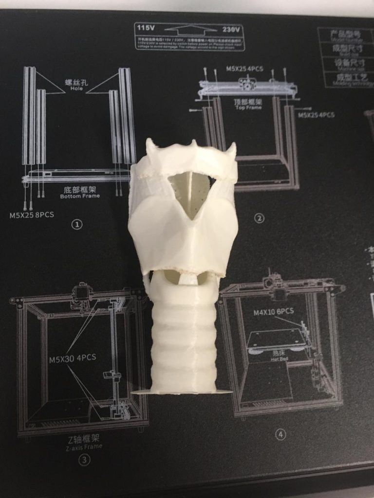 Fonoaudiología entregó a sus estudiantes impresiones 3D de laringes y canales semicirculares