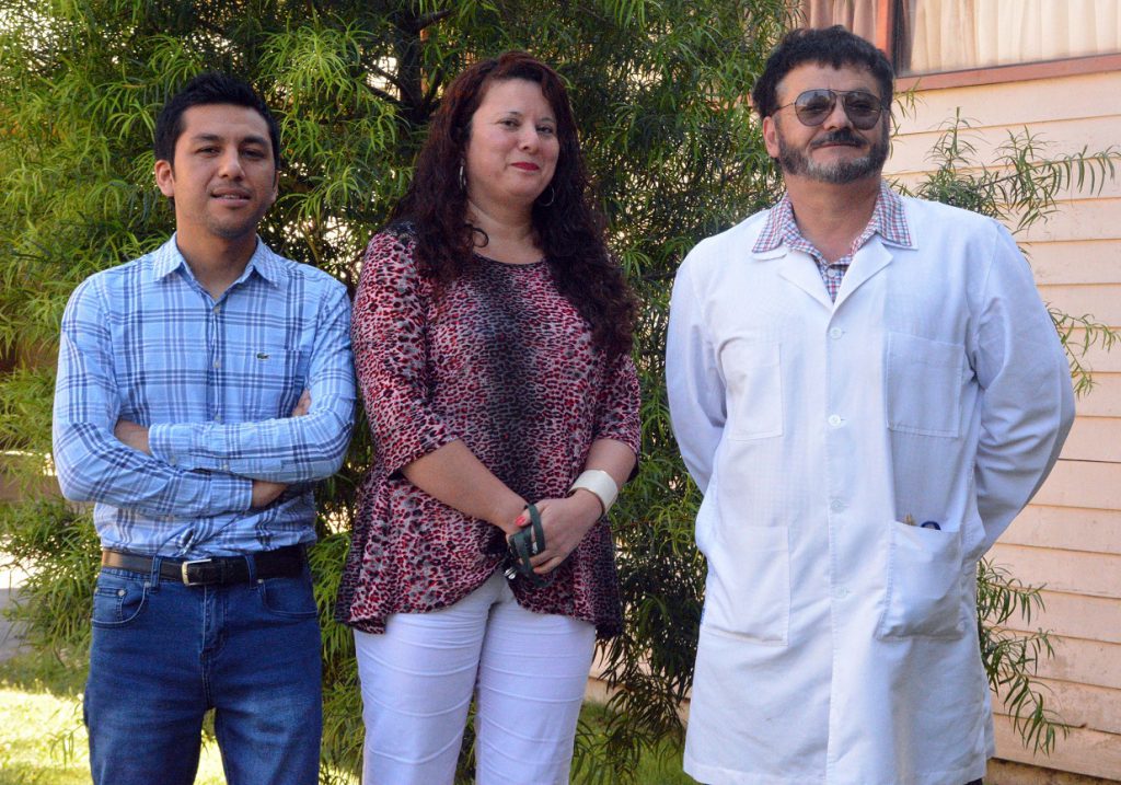 Revista Maderas-Ciencia y Tecnología UBB realza su prestigio a nivel internacional