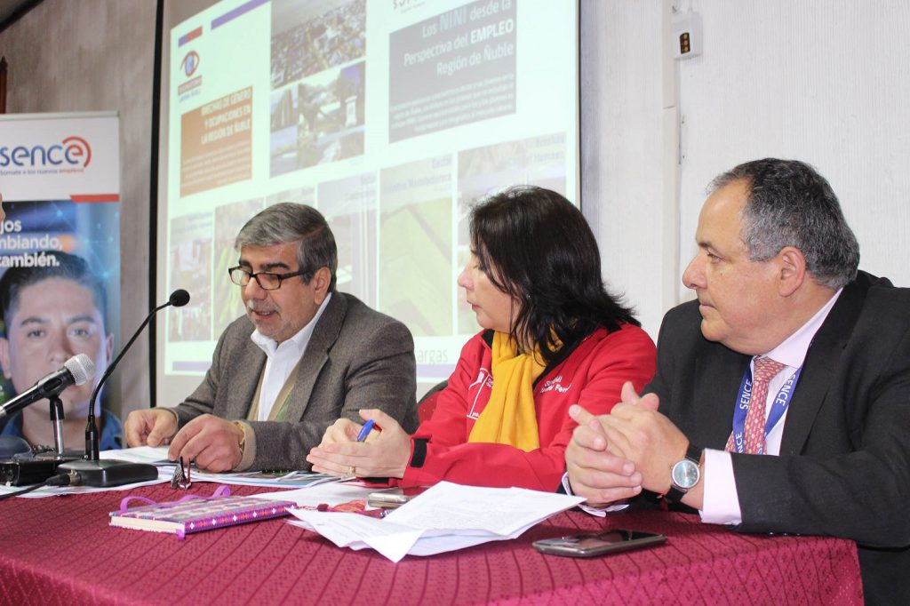 Observatorio Laboral de Ñuble entregó análisis sobre mercado del trabajo de la región