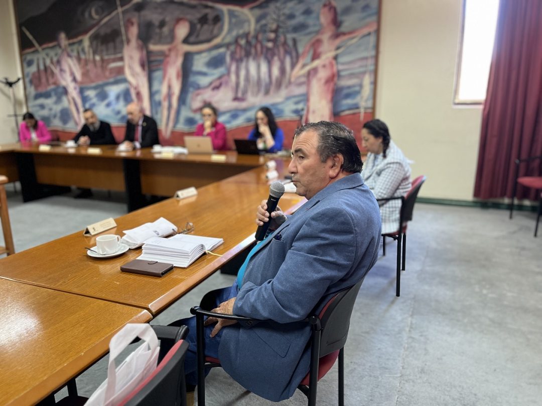 Comité Asesor Externo: UBB comparte propuestas de vinculación e informe prospectivo de necesidades académicas