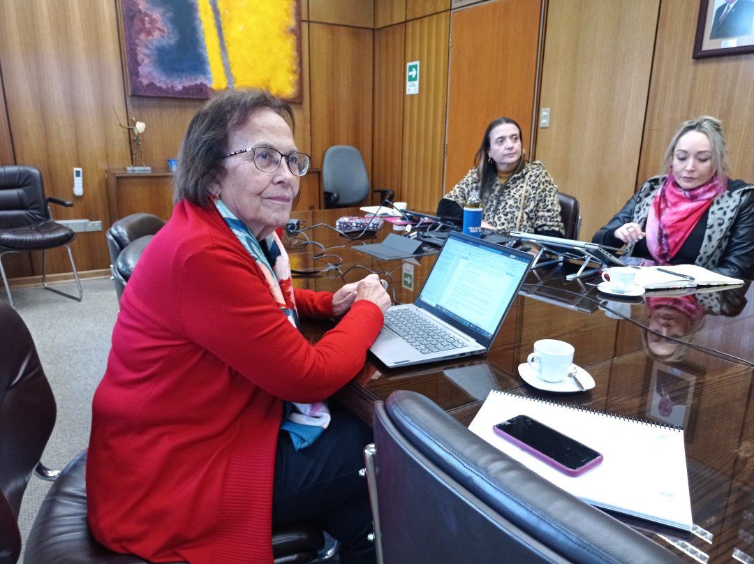 Polo de Salud Ñuble UBB replicará experiencias del CADI de la Universidad de Magallanes