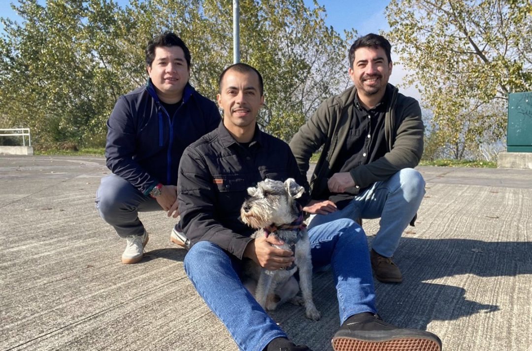 Brinco, información digital que facilita oportunamente el control sanitario de las mascotas