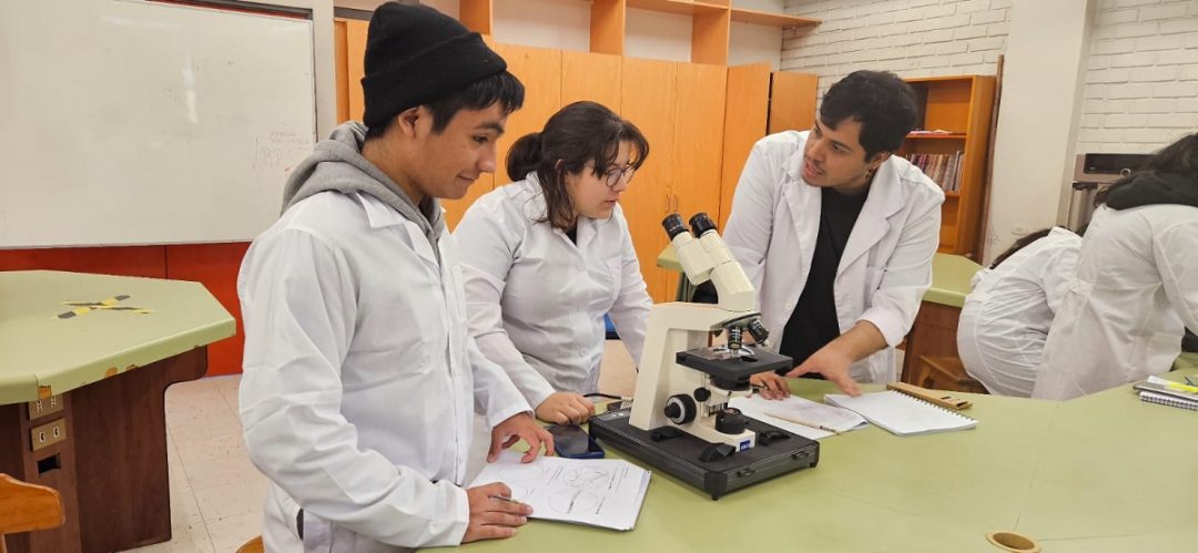 Propedéutico UBB potencia el aprendizaje integral de sus estudiantes en Ñuble y Biobío
