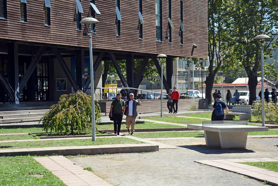 Universidad del Bío – Bío colabora en encuesta VOCES «Vida, Oportunidades y Experiencia en la Educación Superior»