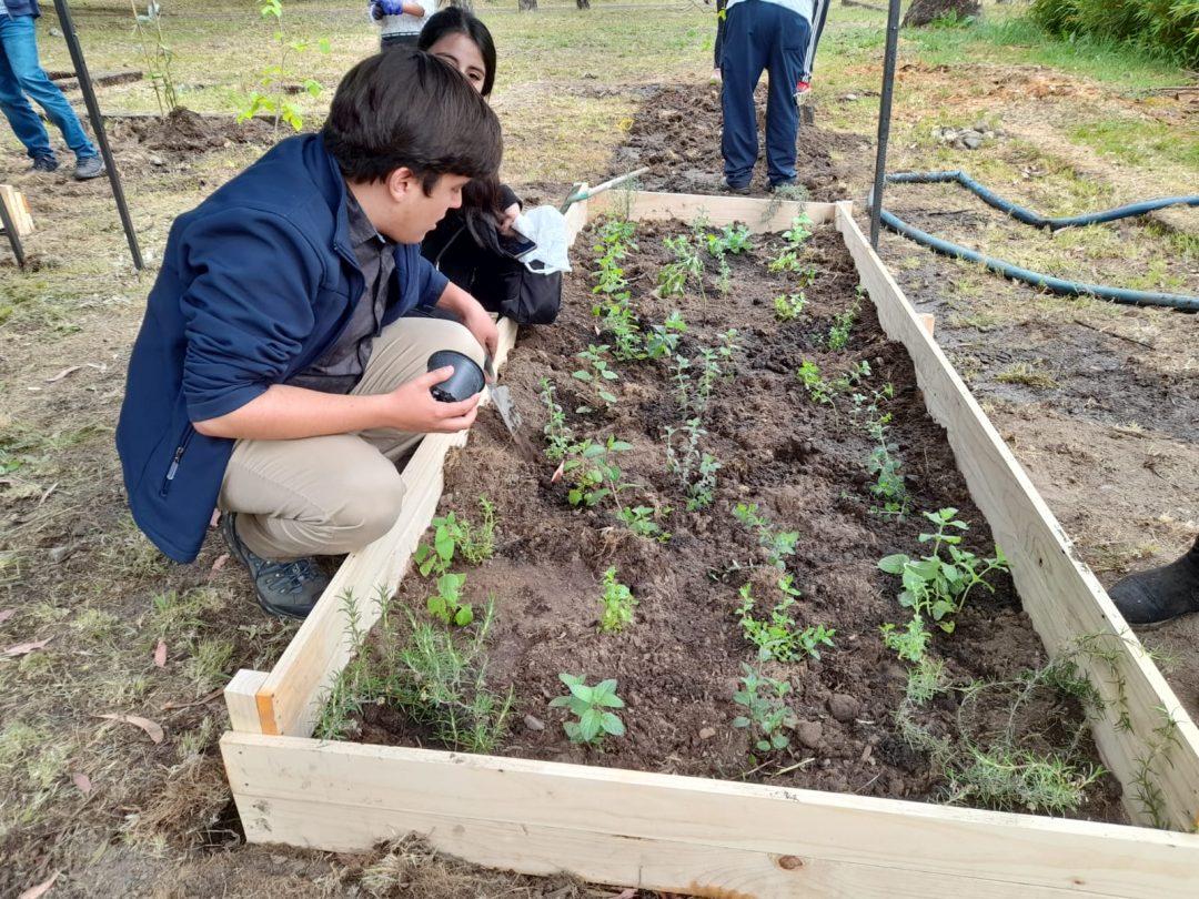 CIISETS-UBB se adjudicó proyecto que promoverá la sostenibilidad ambiental del campus La Castilla