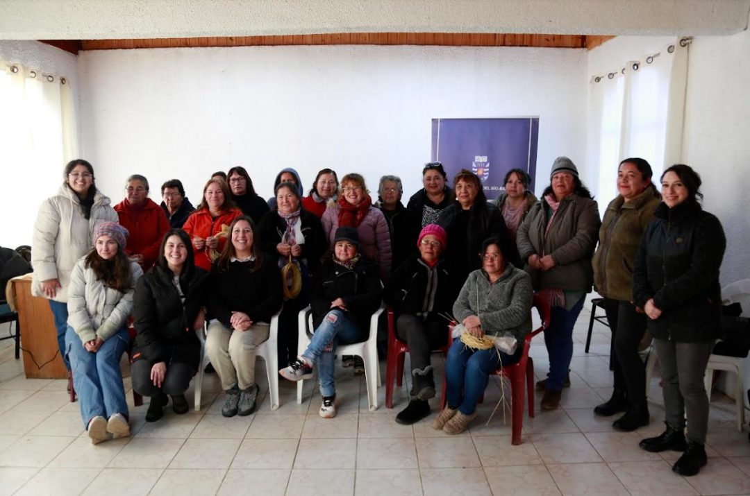 Colchanderas de cuatro comunas del Itata se perfeccionan con académicas UBB