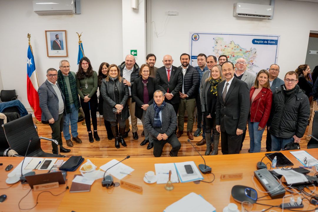 CORE de Ñuble aprobó recursos para construcción de laboratorios de Química y Farmacia UBB