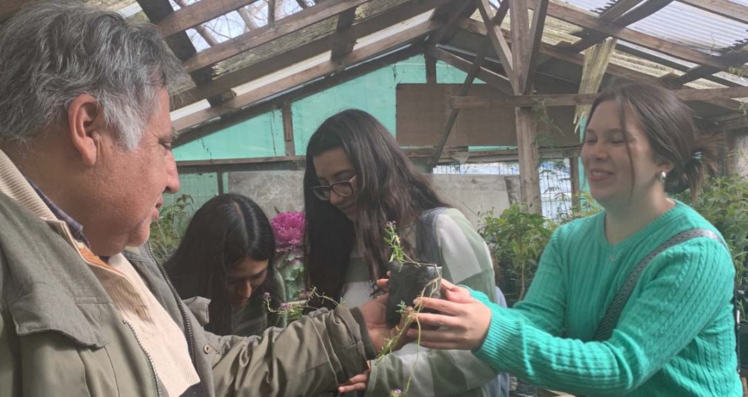 Primera Huerta Comunitaria Estudiantil en la UBB Concepción, promueve conexión con la Naturaleza