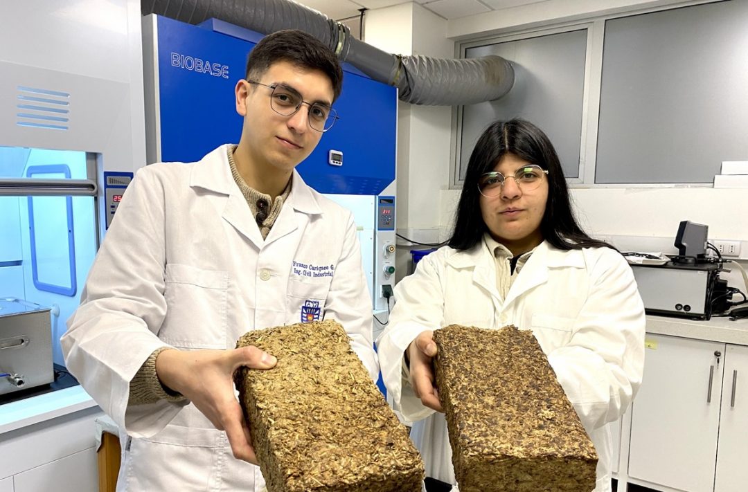Estudiantes de ingeniería crean leña ecológica que contamina hasta un 90% menos