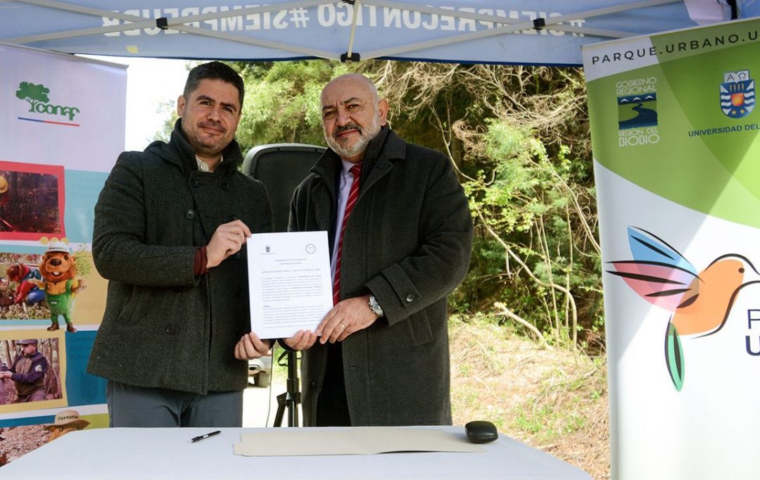 UBB y CONAF Biobío firman convenio de colaboración para recuperar el Cerro Kimün