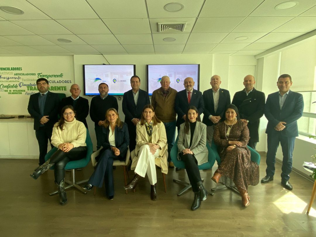 Rector y académico UBB integran comité asesor de Desarrolla Biobío para monitorear la ERD