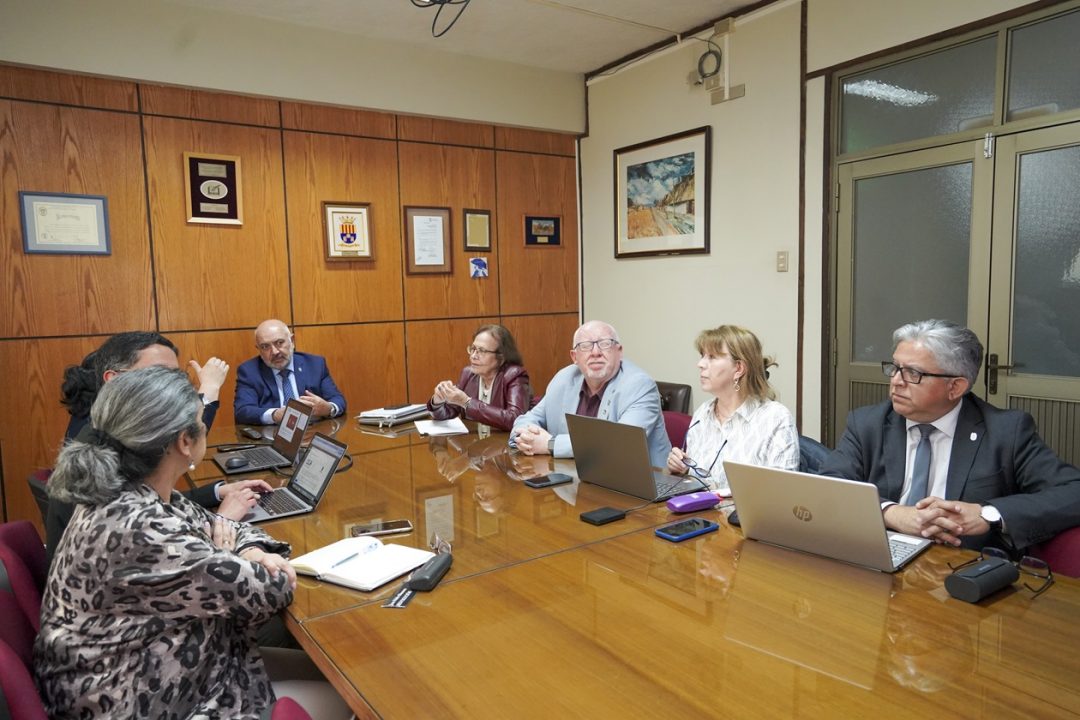 UBB constituye Comité de Línea Estratégica para ajustar el Plan General de Desarrollo Universitario 2020-2029