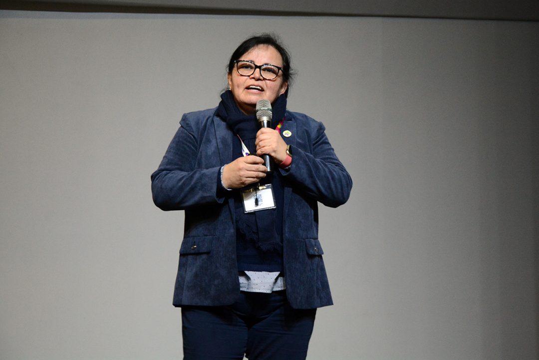 Dra. Carolina Leyton: Un buen resultado del proceso de acreditación nos abrirá nuevas oportunidades