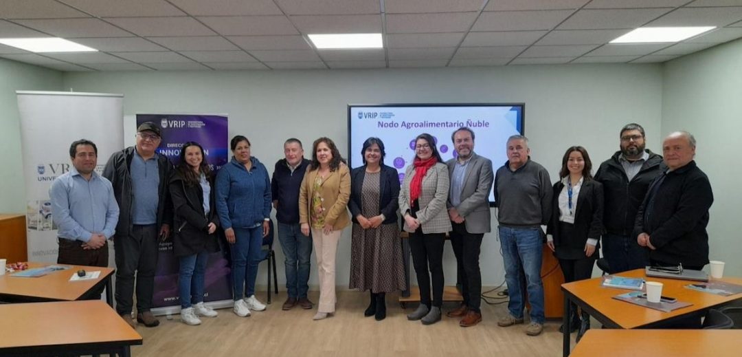 Nodo Agroalimentario de la UBB realizó encuentro centrado en la sostenibilidad energética en Ñuble