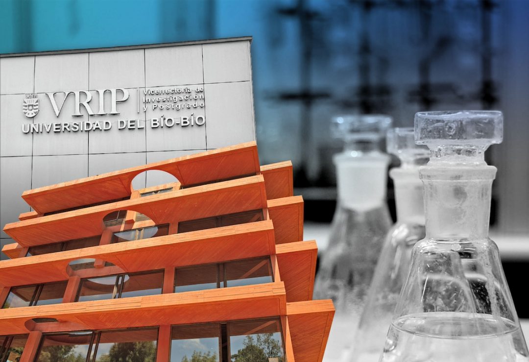 UBB adjudica importantes recursos estatales del concurso de Financiamiento Estructural I+D+i Universitario