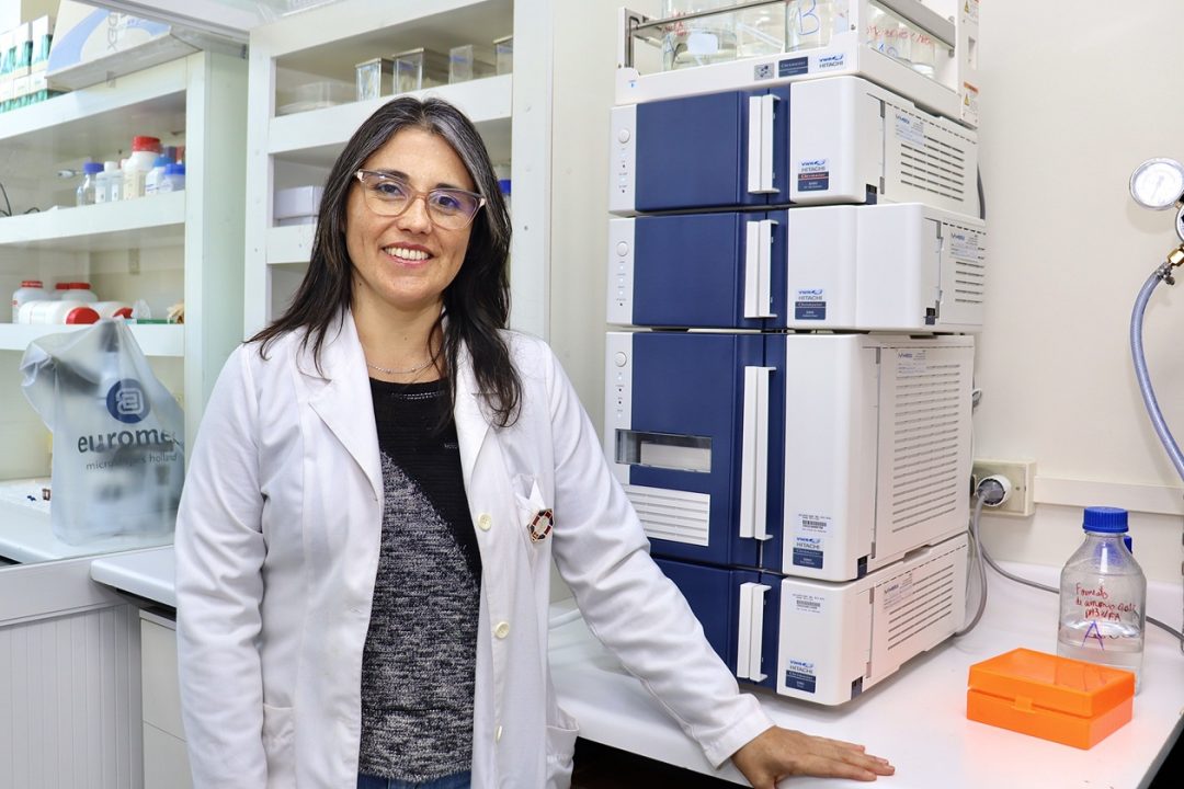 Fondecyt UBB identificará péptidos con potencial anticancerígeno generados durante la digestión gastrointestinal de alimentos