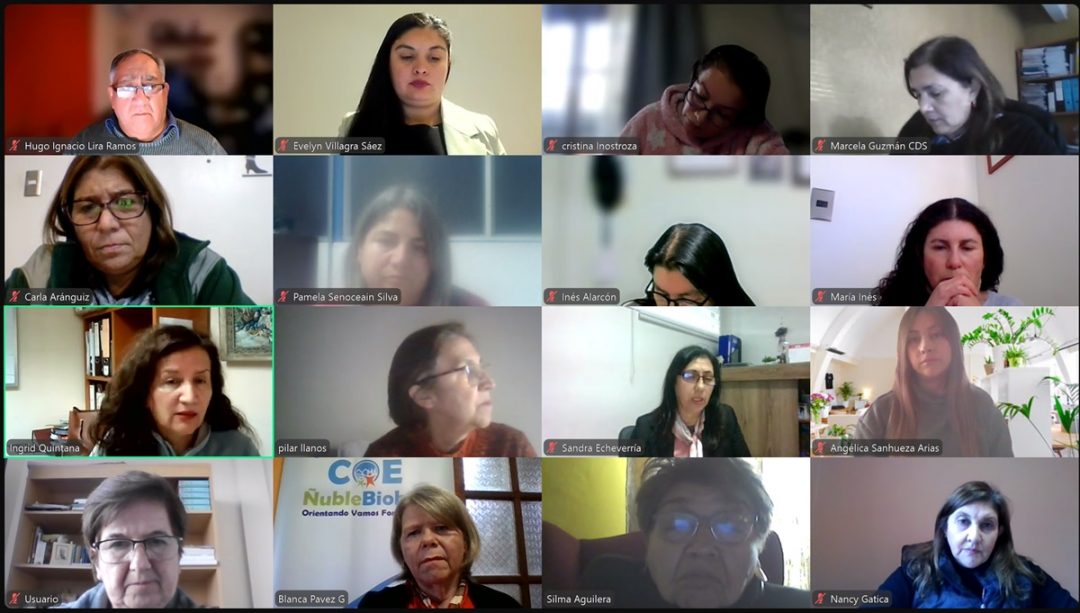 Encuentro de la Red de Orientación Educacional UBB proyecta desafíos y oportunidades para 2025