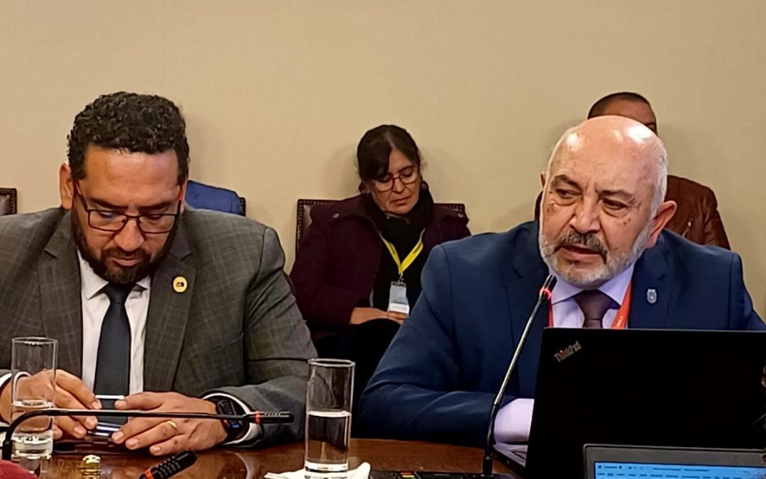Ante la Comisión de la Educación de la Cámara de Diputados (as) rectores (as) de la AUR abordan el proyecto de nuevas exigencias para ingreso a las pedagogías