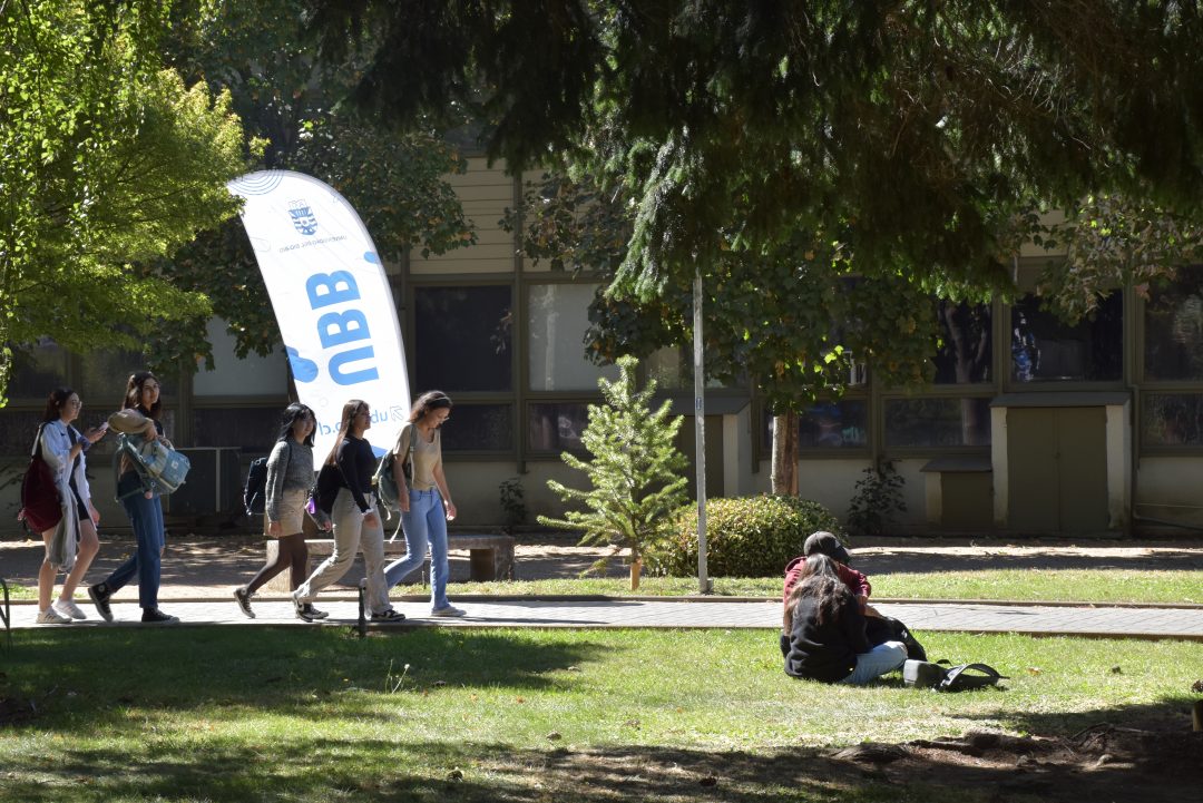 Ajuste del PGDU 2020-2029 fortalecerá gestión universitaria y aporte a nuestras regiones
