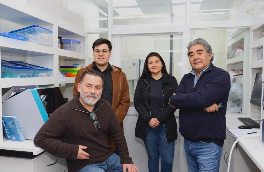 Proyecto UBB buscará solución innovadora en el reciclaje de dos tipos de residuos de origen vegetal
