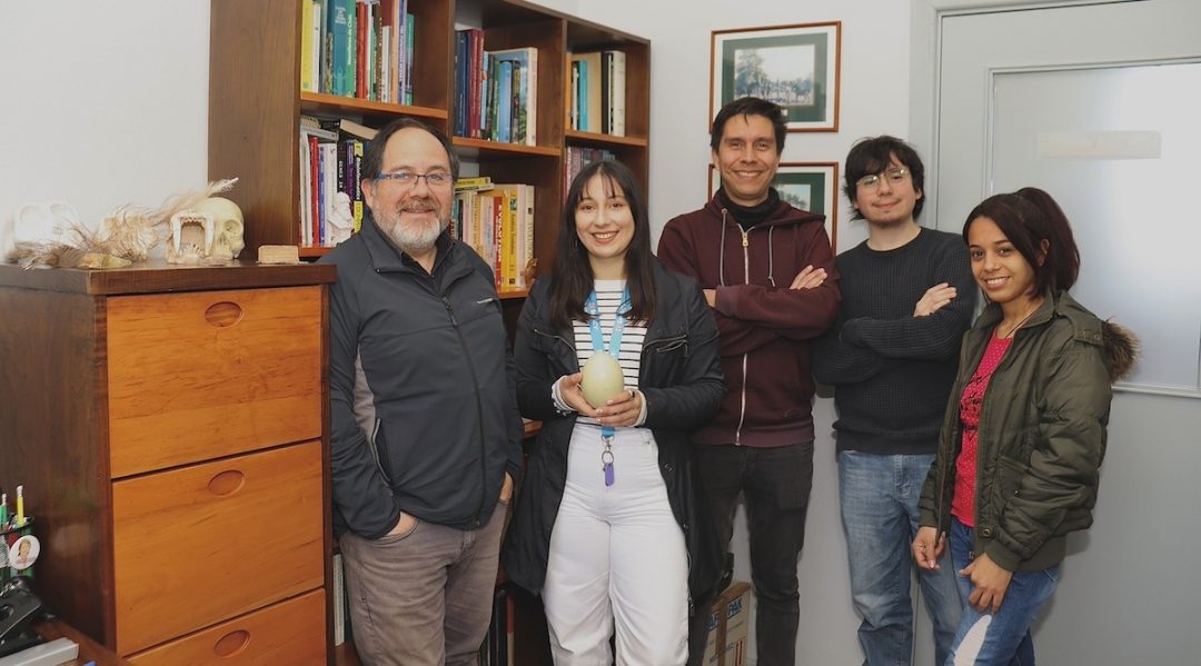 Investigador UBB logra reposición exitosa de proyecto Fondecyt Regular tras apelación: “No hay que darse por vencido”