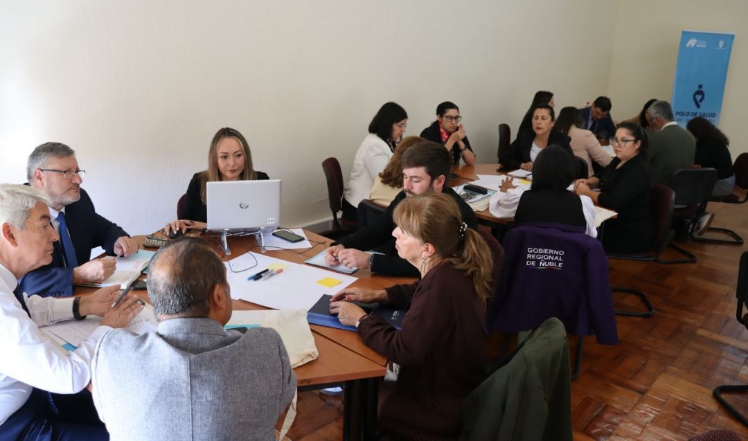 Polo de Salud Ñuble convoca a universidades de la región para impulsar trabajo colaborativo