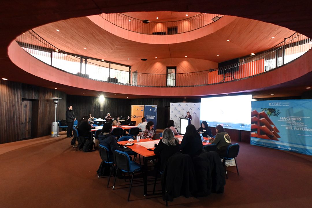 Taller abordó estrategias para fortalecer incidencia territorial pública de la vinculación con el medio