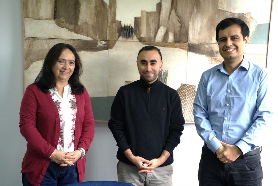 Universidades del Bío-Bío y Católica del Maule compartieron experiencias sobre investigación e impacto en docencia universitaria