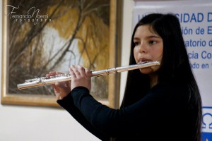 Flauta traversa 2