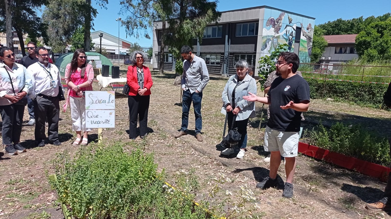 Verde Casino Atmosphere