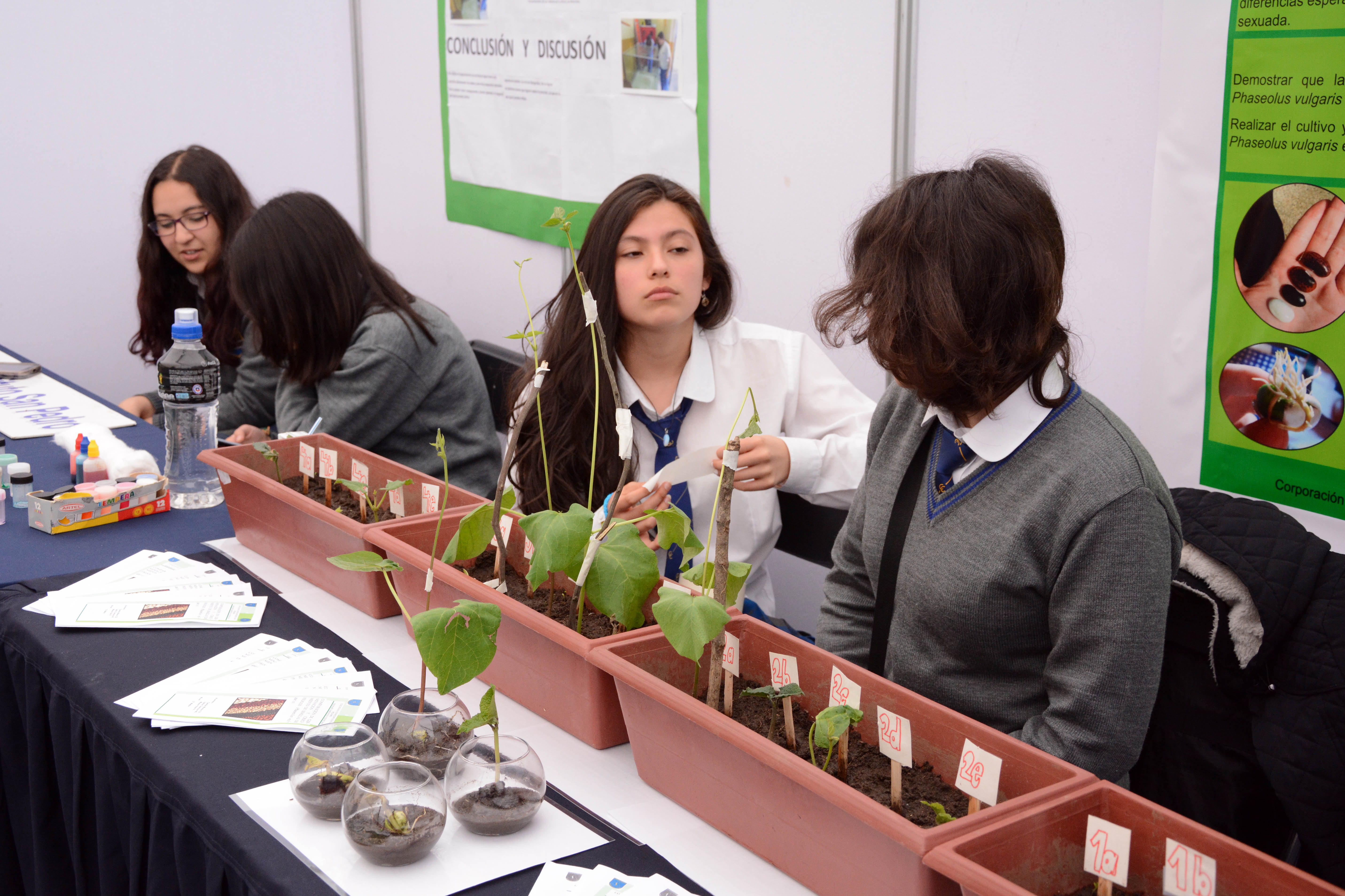 UBB dio el vamos a la XIX Feria Nacional de la Ciencia y la Tecnología ...