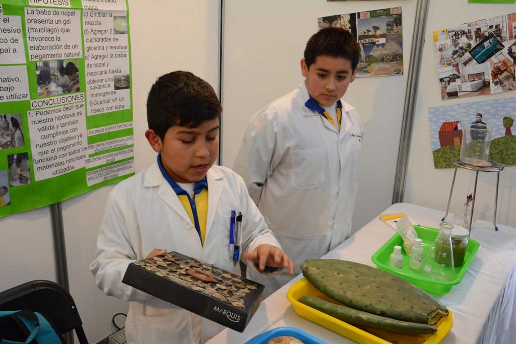 Estudiantes exponen sus trabajos en Feria Nacional de la Ciencia y la ...